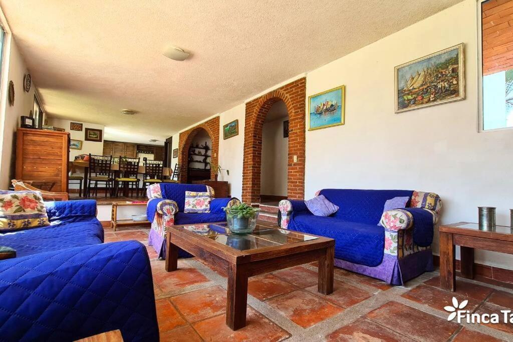 Finca Taino. Hermosa Casa Con Alberca جيوتيبيك المظهر الخارجي الصورة