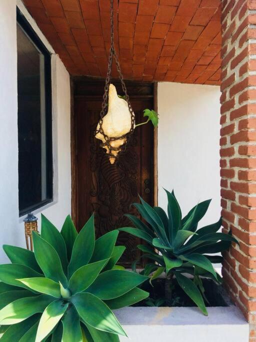 Finca Taino. Hermosa Casa Con Alberca جيوتيبيك المظهر الخارجي الصورة