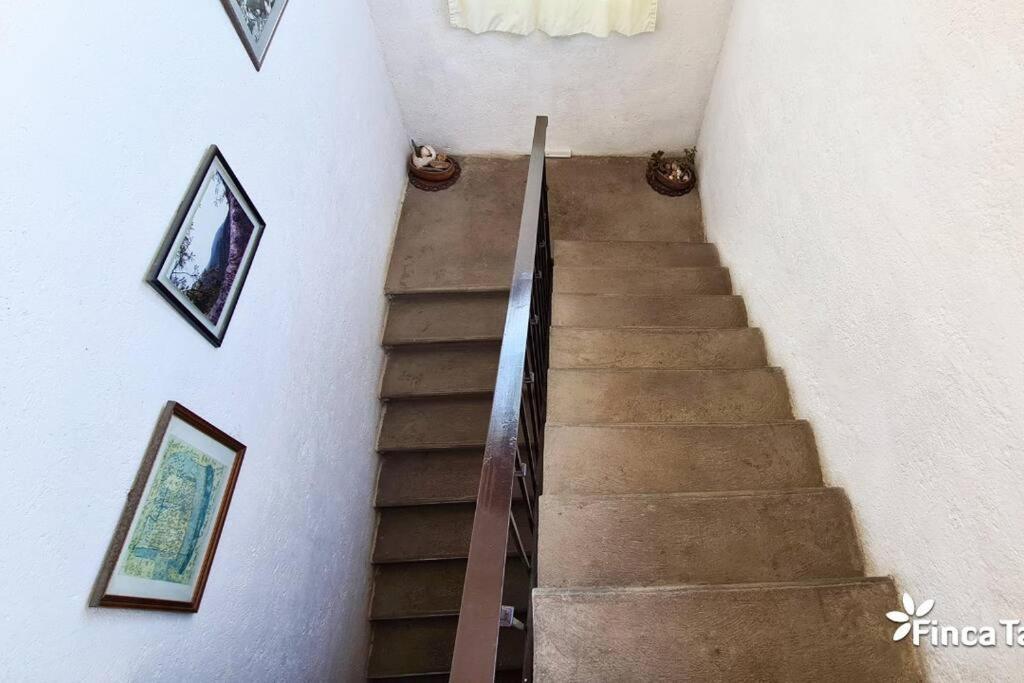 Finca Taino. Hermosa Casa Con Alberca جيوتيبيك المظهر الخارجي الصورة